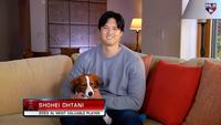 　史上初めて２度目の満票ＭＶＰに選ばれた大谷翔平。専門局ＭＬＢネットワークの番組で犬を抱いて笑顔を見せた＝１１月１６日