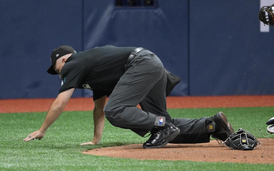 　１回、プロファーへの初球が直撃し、倒れ込む球審（撮影・伊藤笙子）