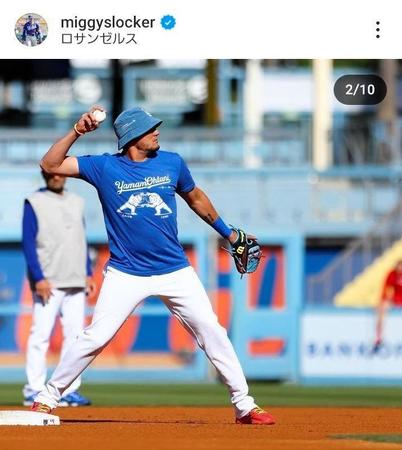 　ロハスのインスタグラム＠ｍｉｇｇｙｓｌｏｃｋｅｒより