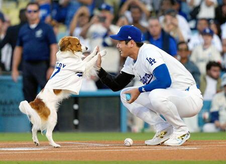 　オリオールズ戦で“始球式”を行う大谷（右）の愛犬デコピン