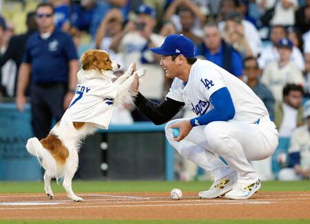 　“始球式”を行う大谷（右）の愛犬デコピン（共同）