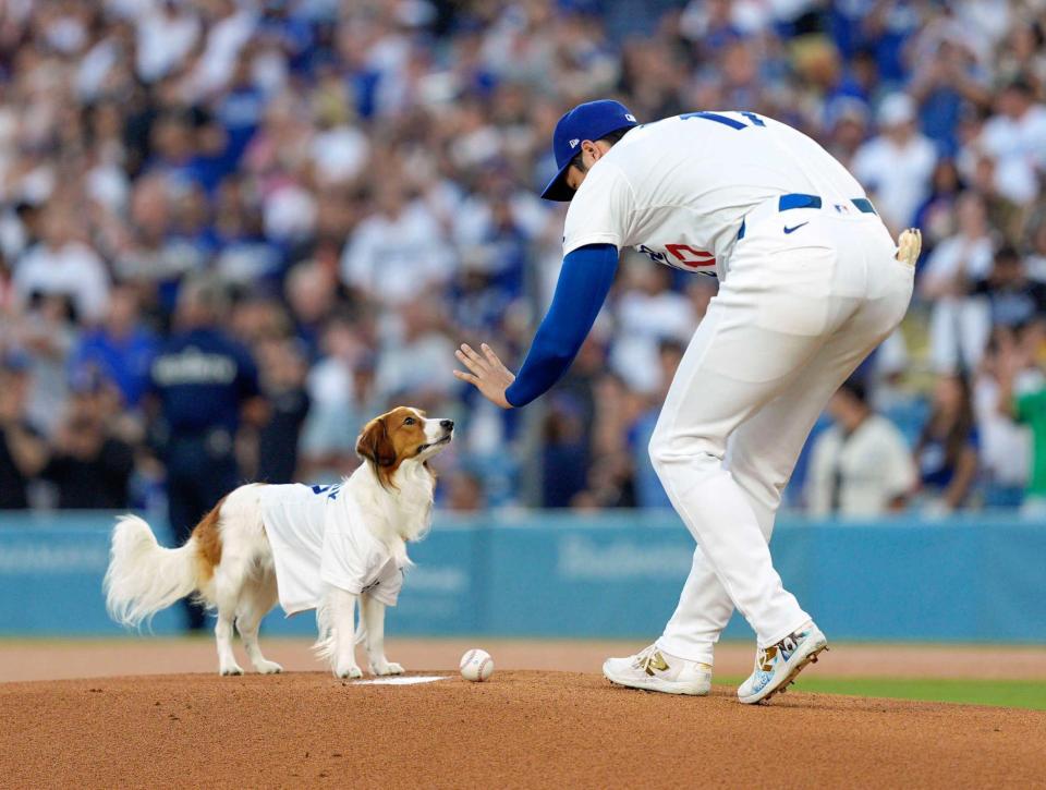 　“始球式”を行う大谷（右）の愛犬デコピン（共同）