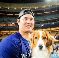 　大谷に抱っこされるデコピン（ロサンゼルス・ドジャース提供）