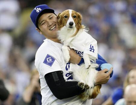 　大谷に抱えられる愛犬のデコピン（提供・共同通信社）