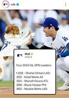 　ＭＬＢ公式インスタグラム（ｍｌｂ）より