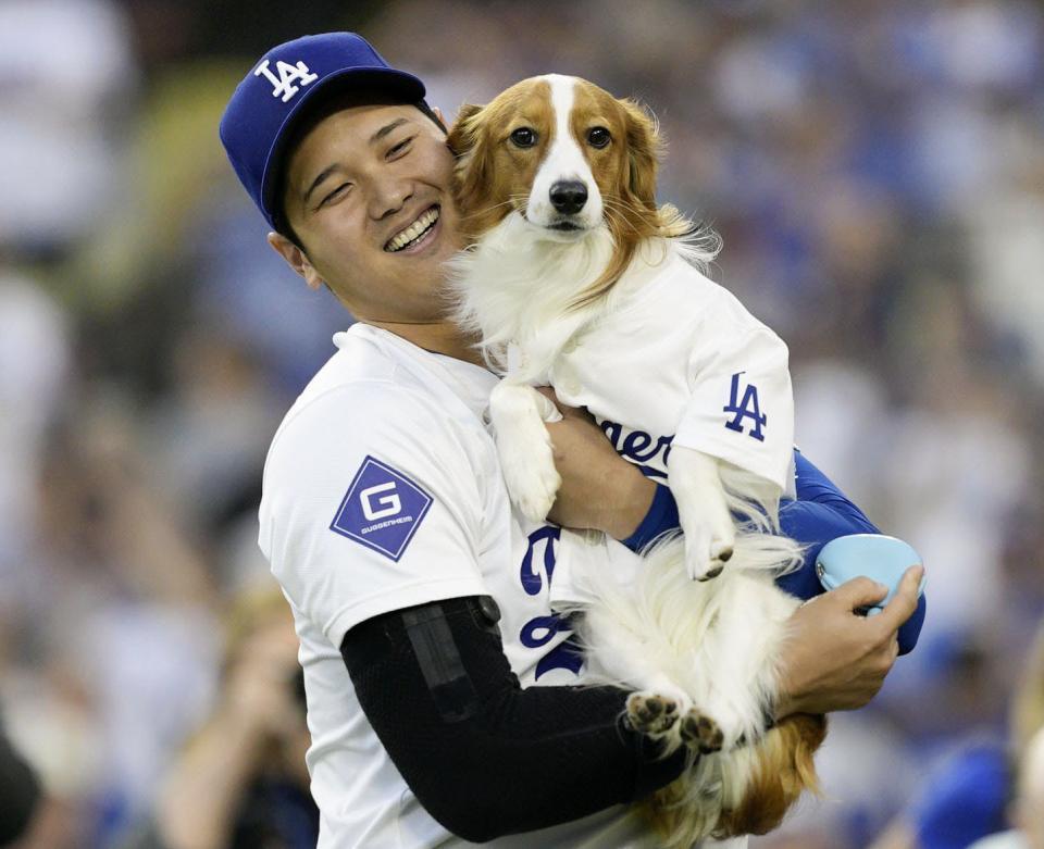 　大谷に抱えられる愛犬のデコピン（提供・共同通信社）