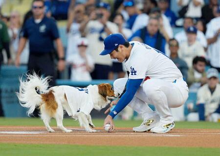 オリオールズ戦で愛犬デコピンと“始球式”を行うドジャース・大谷＝ロサンゼルス（共同）