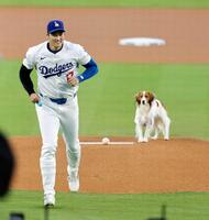 オリオールズ戦で愛犬デコピンと“始球式”を行うドジャース・大谷＝ロサンゼルス（共同）