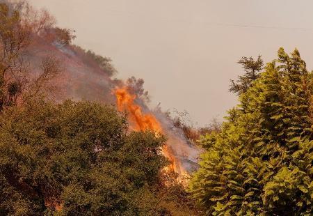 　米ロサンゼルスで続く山火事＝１１日（ロイター＝共同）