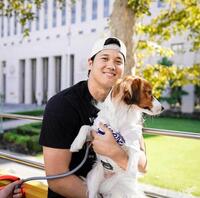 　デコピンを抱え笑顔の大谷翔平（ロサンゼルス・ドジャース提供）