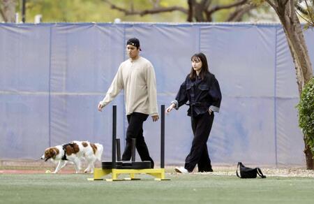 【写真】デコピンの「癒やし」が溢れる大谷家の休日　真美子夫人も笑顔でボールをポイッ