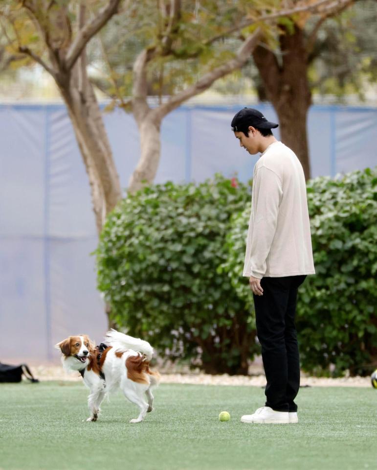 　愛犬デコピンと遊ぶ大谷（共同）