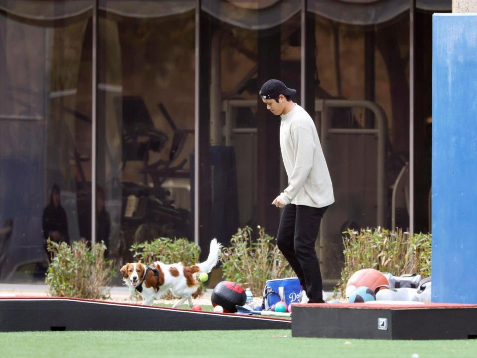 　愛犬デコピンと遊ぶ大谷（共同）