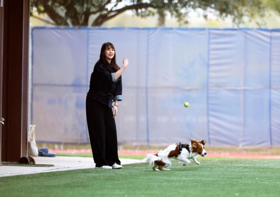 　愛犬デコピンと遊ぶ大谷の妻、真美子さん（共同）
