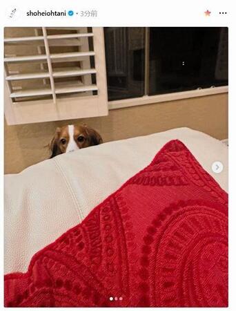 　大谷翔平のインスタグラム（ｓｈｏｈｅｉｏｈｔａｎｉ）より