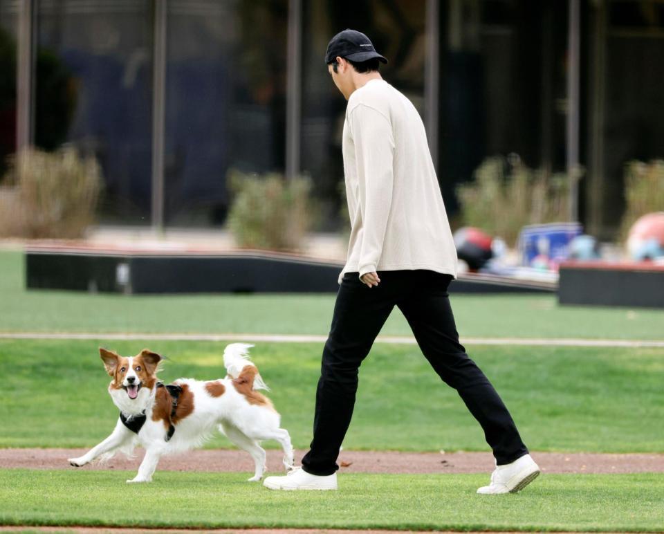 愛犬デコピンと遊ぶドジャース・大谷＝グレンデール（共同）