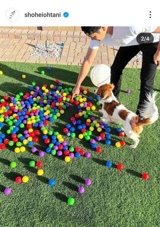 　ドジャース・大谷のインスタグラム（＠ｓｈｏｈｅｉｏｈｔａｎｉ）から