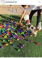 　大谷翔平のインスタグラム＠ＳｈｏｈｅｉＯｈｔａｎｉから