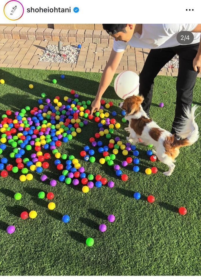 　大谷翔平のインスタグラム＠ＳｈｏｈｅｉＯｈｔａｎｉから
