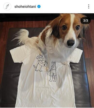 　大谷翔平のインスタグラム（＠ｓｈｏｈｅｉｏｈｔａｎｉ）から