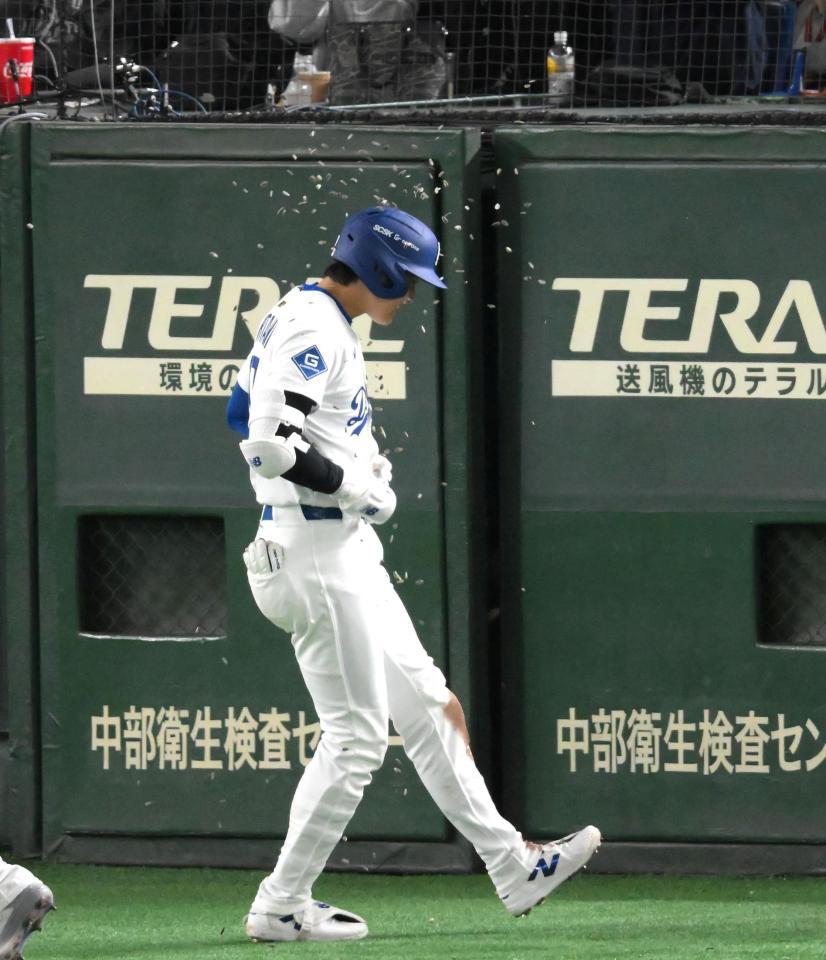 　３回、生還してひまわりの種をかけられる大谷（撮影・堀内翔）