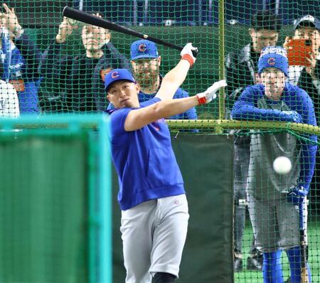 　打撃練習する鈴木（撮影・吉澤敬太）