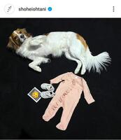 　大谷翔平のインスタグラム（＠ｓｈｏｈｅｉｏｈｔａｎｉ）から