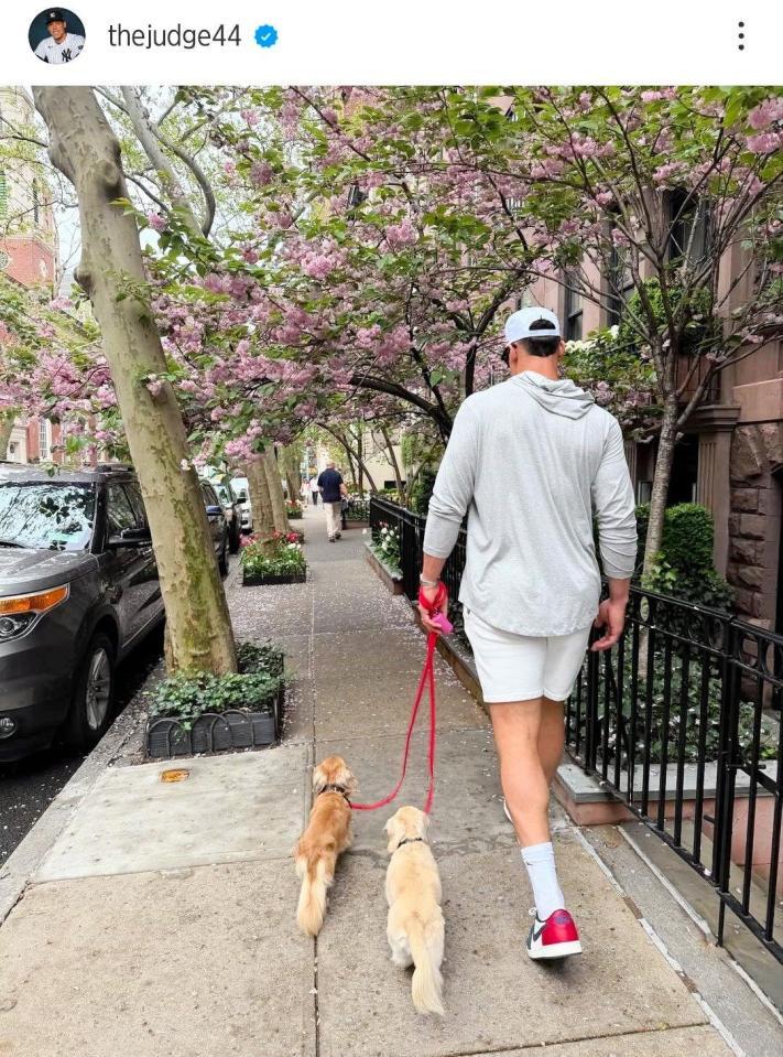 　ジャッジのインスタグラム（ｔｈｅｊｕｄｇｅ４４）より