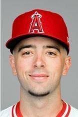 エンゼルス－タイガース戦で乱闘騒ぎ　ネトとスクバルの言い合いが発端か