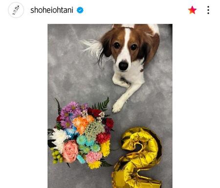 　大谷翔平のインスタグラム（ｓｈｏｈｅｉｏｈｔａｎｉ）より