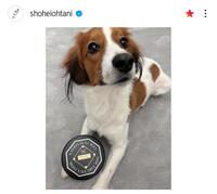 　大谷翔平のインスタグラム（ｓｈｏｈｅｉｏｈｔａｎｉ）より