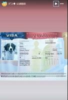 　デコピンのために作成されたビザ。大谷翔平のインスタグラム（ｓｈｏｈｅｉｏｈｔａｎｉ）より