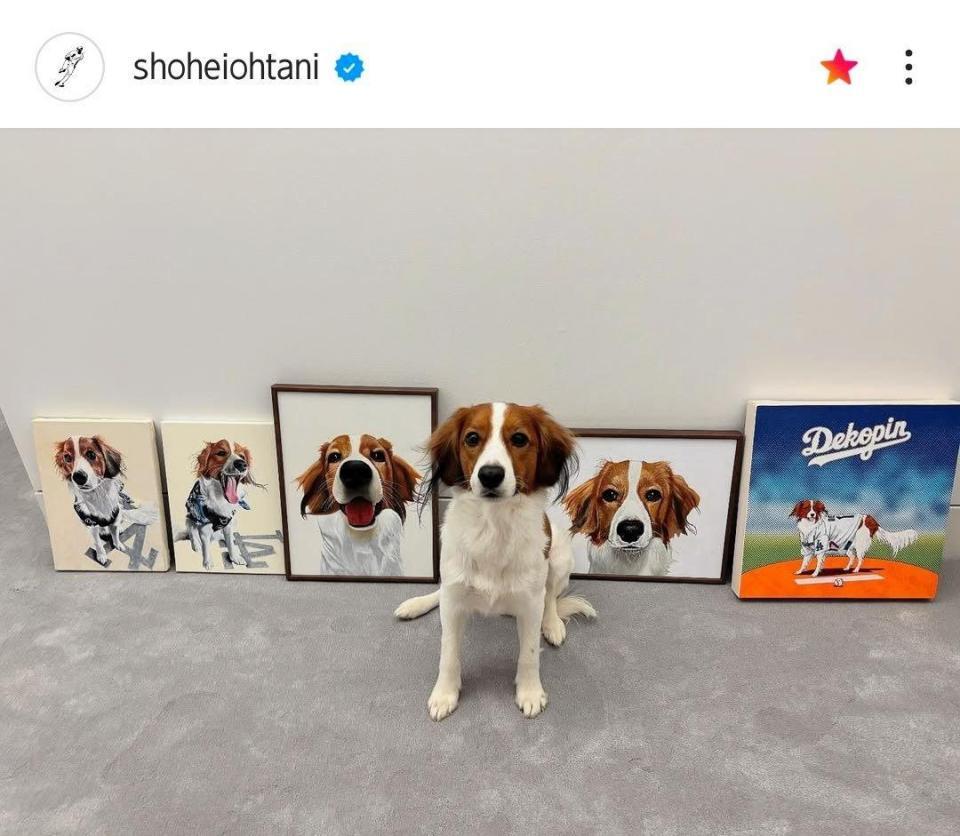 　大谷翔平のインスタグラム（ｓｈｏｈｅｉｏｈｔａｎｉ）より