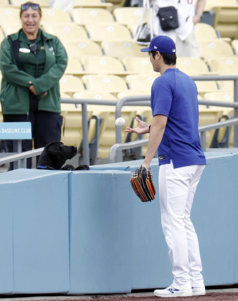 　試合前、犬と遊ぶドジャース・大谷（共同）