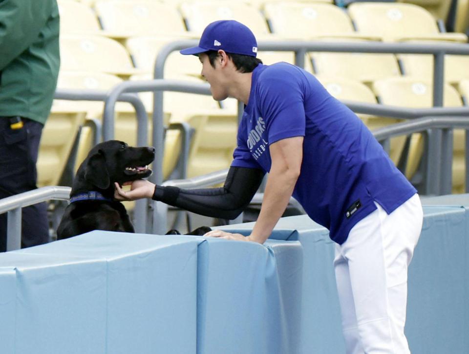 　試合前、犬に触れるドジャース・大谷（共同）