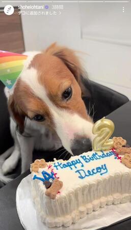 　大谷翔平のインスタグラム（ｓｈｏｈｅｉｏｈｔａｎｉ）より