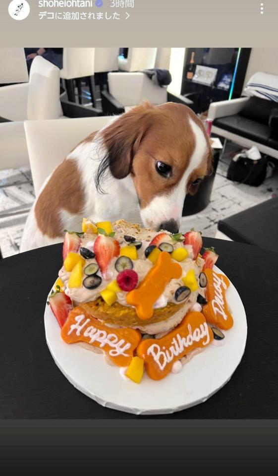 　大谷翔平のインスタグラム（ｓｈｏｈｅｉｏｈｔａｎｉ）より