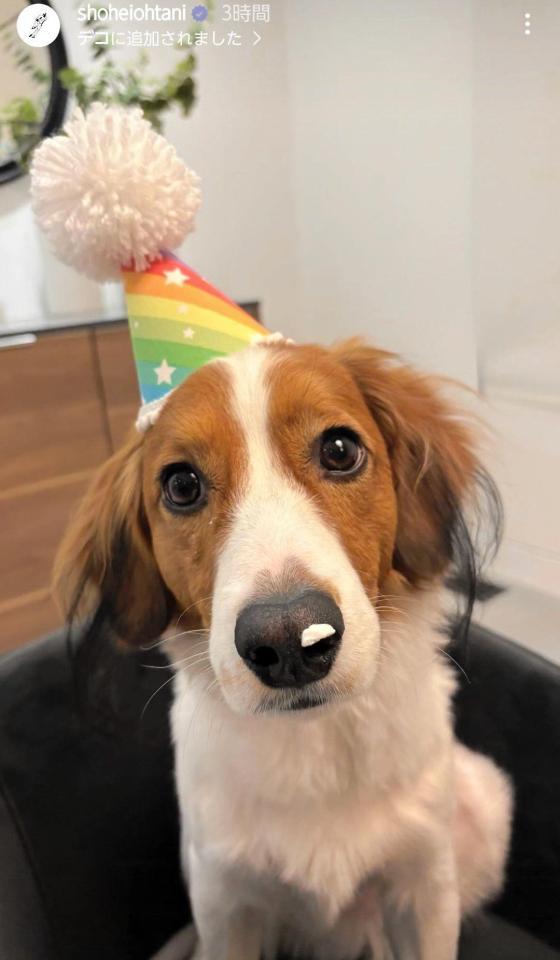 　大谷翔平のインスタグラム（ｓｈｏｈｅｉｏｈｔａｎｉ）より