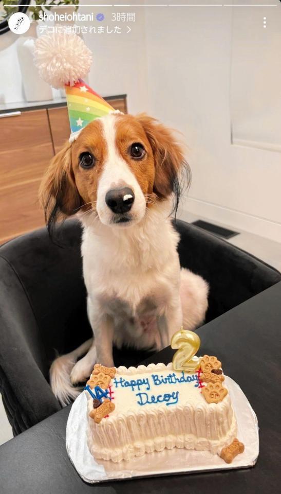 　大谷翔平のインスタグラム（ｓｈｏｈｅｉｏｈｔａｎｉ）より