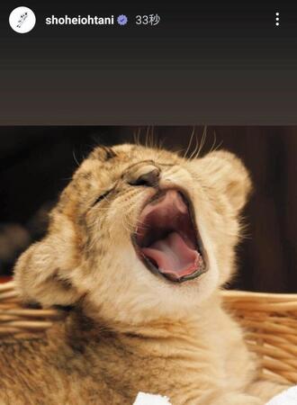 大谷翔平のインスタグラム（＠ｓｈｏｈｅｉｏｈｔａｎｉ）から