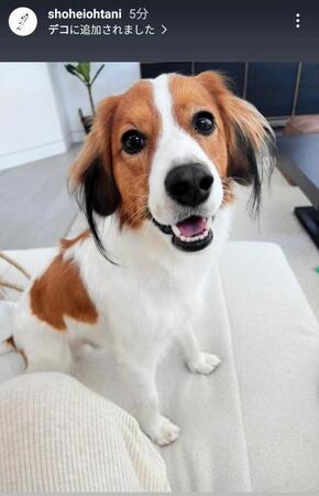 　大谷翔平のインスタグラム（＠ｓｈｏｈｅｉｏｈｔａｎｉ）から