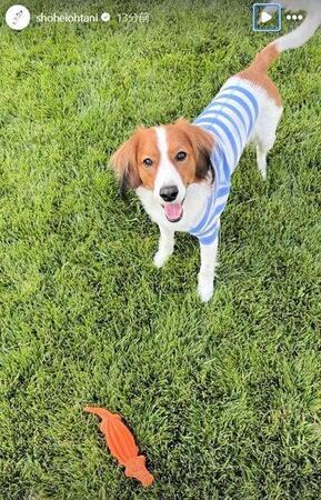 　大谷翔平のインスタグラム（ｓｈｏｈｅｉｏｈｔａｎｉ）より