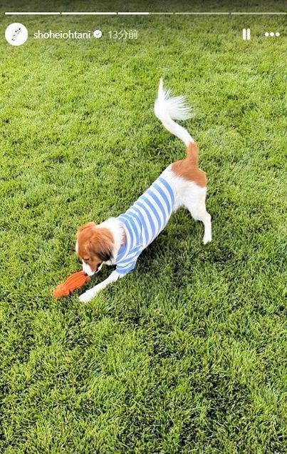 　大谷翔平のインスタグラム（ｓｈｏｈｅｉｏｈｔａｎｉ）より