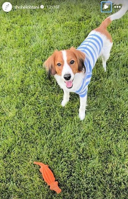 　大谷翔平のインスタグラム（ｓｈｏｈｅｉｏｈｔａｎｉ）より