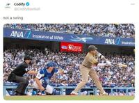 　米データサイト「Ｃｏｄｉｆｙ」の公式Ｘ（＠ＣｏｄｉｆｙＢａｓｅｂａｌｌ）より
