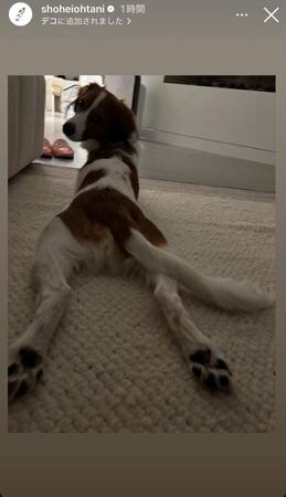 　大谷翔平インスタグラム（ｓｈｏｈｅｉｏｈｔａｎｉ）ストーリーズより