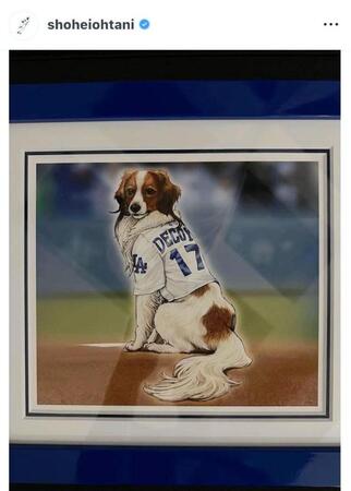 大谷翔平のインスタグラム（＠ｓｈｏｈｅｉｏｈｔａｎｉ）から