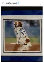 大谷翔平のインスタグラム（＠ｓｈｏｈｅｉｏｈｔａｎｉ）から