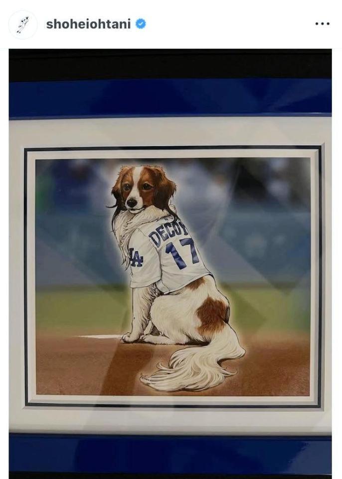 大谷翔平のインスタグラム（＠ｓｈｏｈｅｉｏｈｔａｎｉ）から