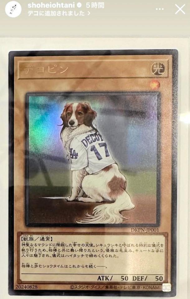 大谷翔平のインスタグラム（＠ｓｈｏｈｅｉｏｈｔａｎｉ）から